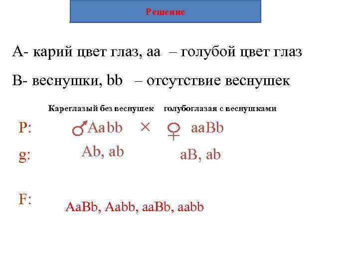Решение A- карий цвет глаз, aа – голубой цвет глаз B- веснушки, bb –