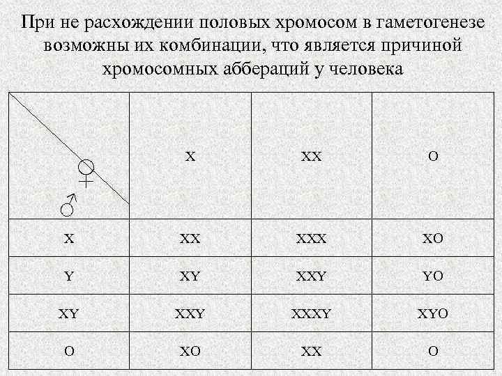 При не расхождении половых хромосом в гаметогенезе возможны их комбинации, что является причиной хромосомных