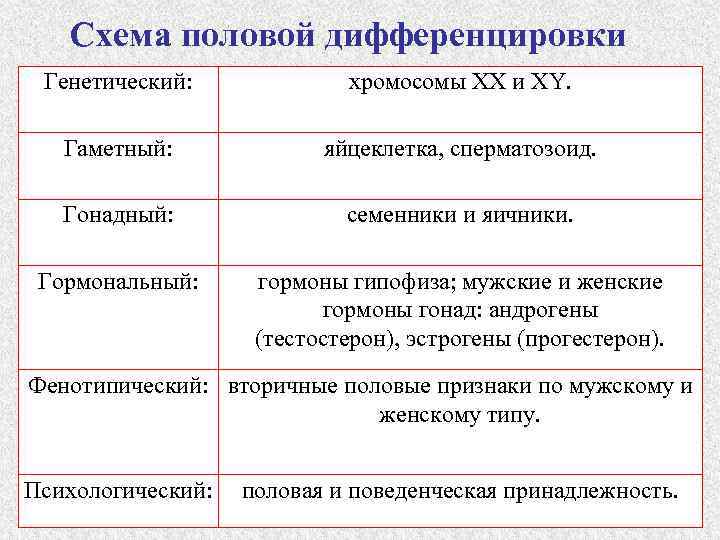 Схема формирование гонадного пола