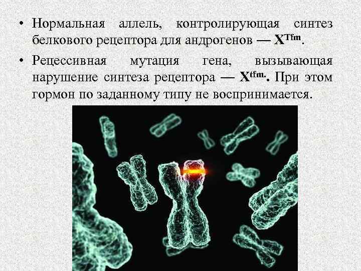  • Нормальная аллель, контролирующая синтез белкового рецептора для андрогенов — ХTfm. • Рецессивная