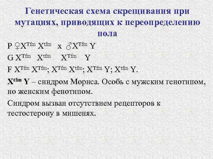 Генетическая схема скрещивания при мутациях, приводящих к переопределению пола Р ♀ХTfm Xtfm х ♂ХTfm