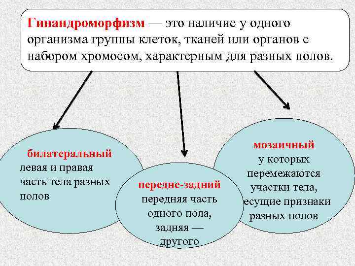 Гинандроморфизм — это наличие у одного организма группы клеток, тканей или органов с набором