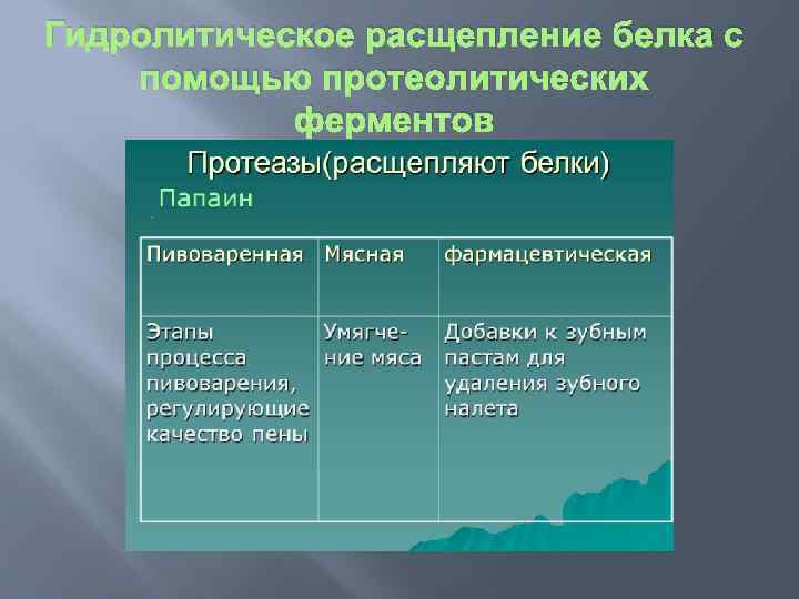 Гидролитическое расщепление белка с помощью протеолитических ферментов 