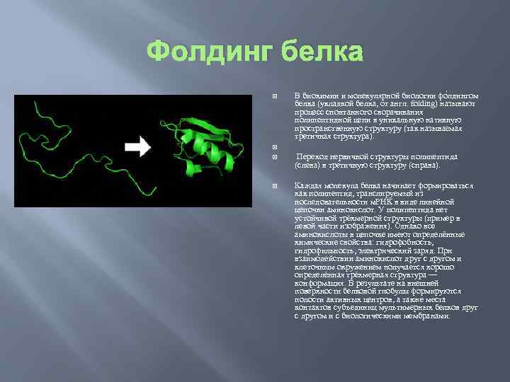 Фолдинг белка. Котрансляционный фолдинг белков. Фолдинг и рефолдинг белка. Процесс фолдинга белка. Фолдинг белков стадии.