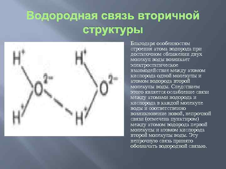 Водородная связь структура. Строение водородной связи. Водородные связи вторичная структура. Роль водородных связей.