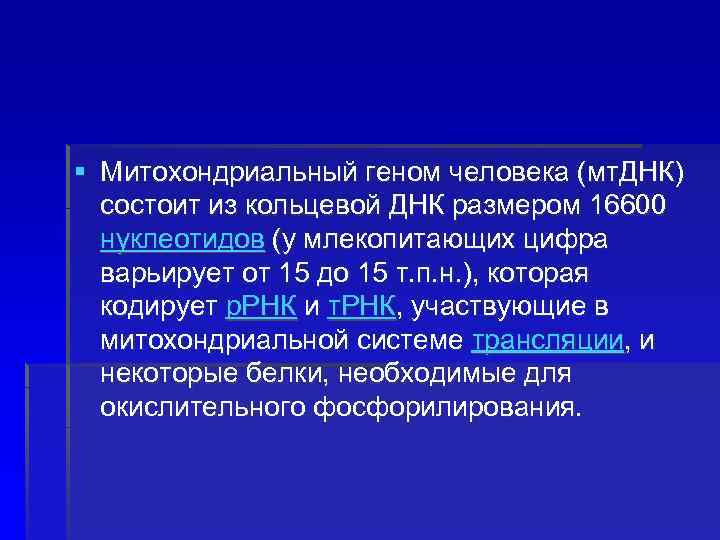 § Митохондриальный геном человека (мт. ДНК) состоит из кольцевой ДНК размером 16600 нуклеотидов (у