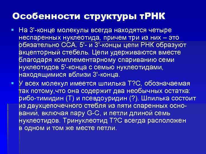 Особенности структуры т. РНК § На 3'-конце молекулы всегда находятся четыре неспаренных нуклеотида, причем