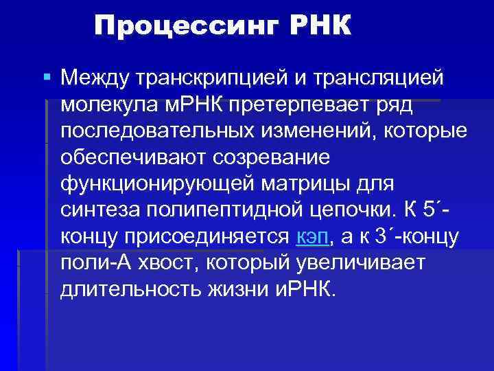 Процессинг РНК § Между транскрипцией и трансляцией молекула м. РНК претерпевает ряд последовательных изменений,