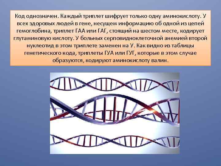 Белком код. Триплет ДНК. Каждый триплет шифрует только одну аминокислоту. Ген это триплет. Триплет в гене.