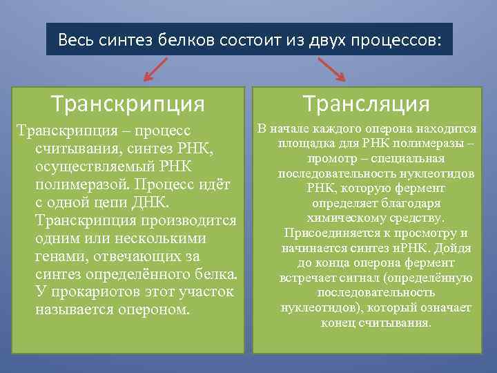 Весь синтез белков состоит из двух процессов: Транскрипция Трансляция Транскрипция – процесс считывания, синтез