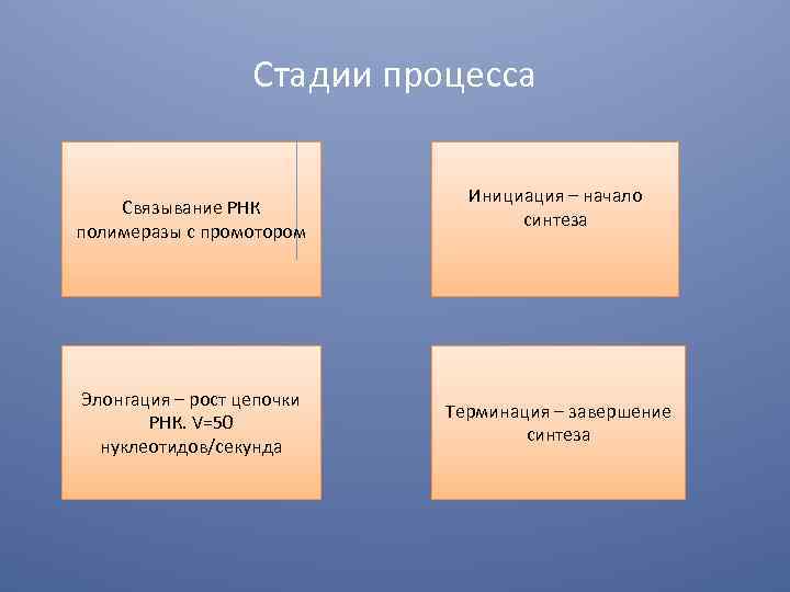 Стадии процесса Связывание РНК полимеразы с промотором Элонгация – рост цепочки РНК. V=50 нуклеотидов/секунда