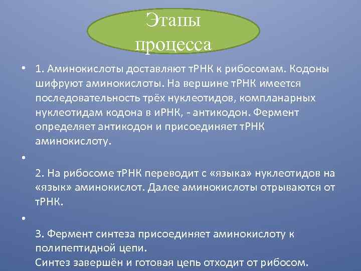 Этапы процесса • 1. Аминокислоты доставляют т. РНК к рибосомам. Кодоны шифруют аминокислоты. На