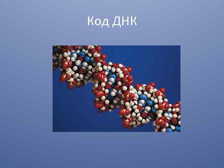 Белковый код. Код ДНК. ДНК код человека. Код белков. Как выглядит код ДНК человека.