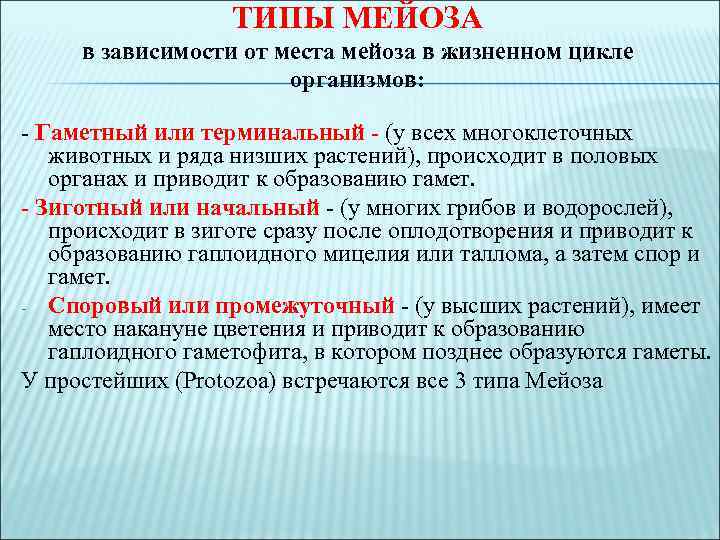 ТИПЫ МЕЙОЗА в зависимости от места мейоза в жизненном цикле организмов: - Гаметный или