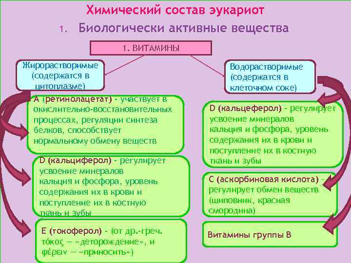 1. Химический состав эукариот Биологически активные вещества 1. ВИТАМИНЫ Жирорастворимые (содержатся в цитоплазме) А
