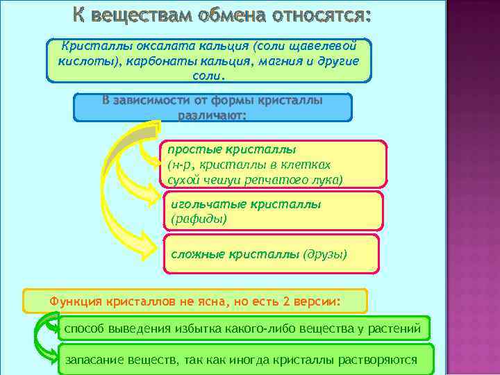 К веществам обмена относятся: Кристаллы оксалата кальция (соли щавелевой кислоты), карбонаты кальция, магния и