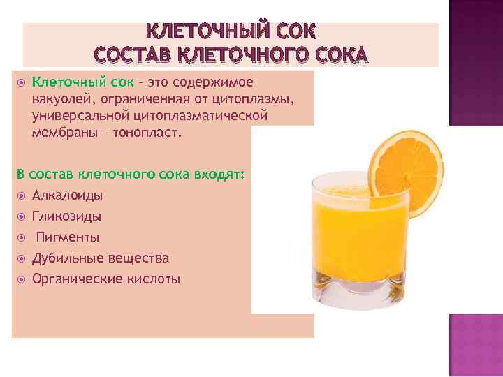 Команда сок состав