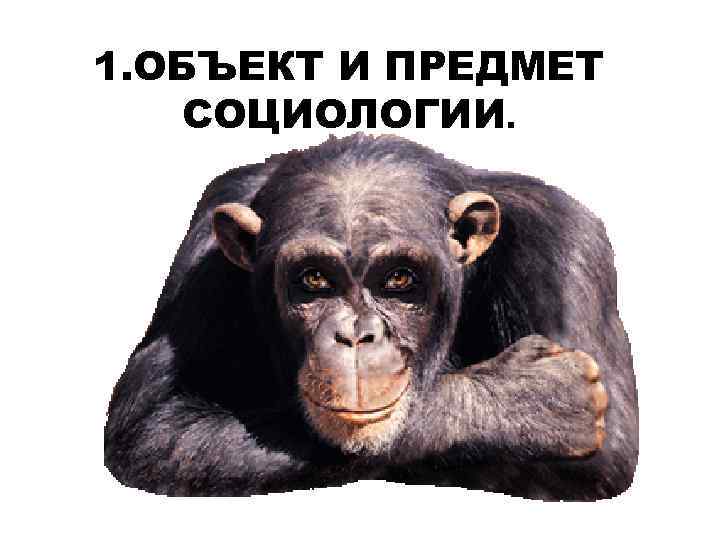 1. ОБЪЕКТ И ПРЕДМЕТ СОЦИОЛОГИИ. 
