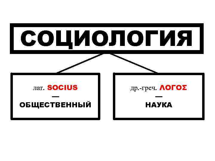 СОЦИОЛОГИЯ лат. SOCIUS — ОБЩЕСТВЕННЫЙ др. -греч. ΛΟΓΟΣ — НАУКА 