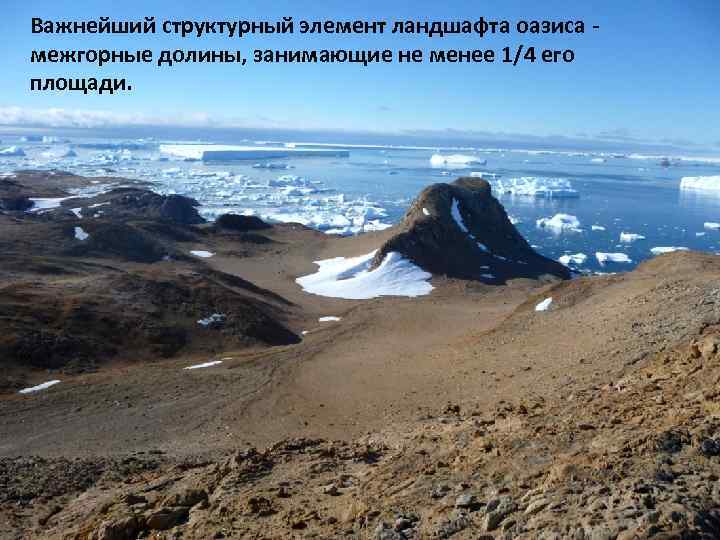 Важнейший структурный элемент ландшафта оазиса межгорные долины, занимающие не менее 1/4 его площади. 