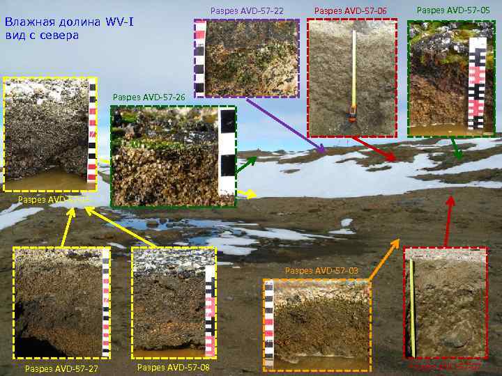 Разрез AVD-57 -22 Влажная долина WV-I вид с севера Разрез AVD-57 -06 Разрез AVD-57