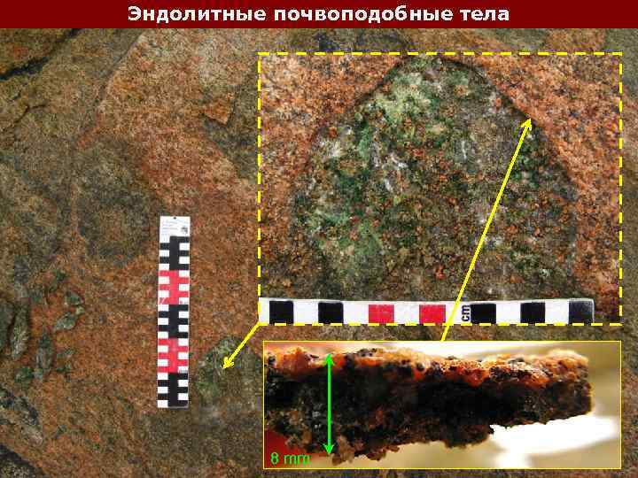 Эндолитные почвоподобные тела 8 mm 