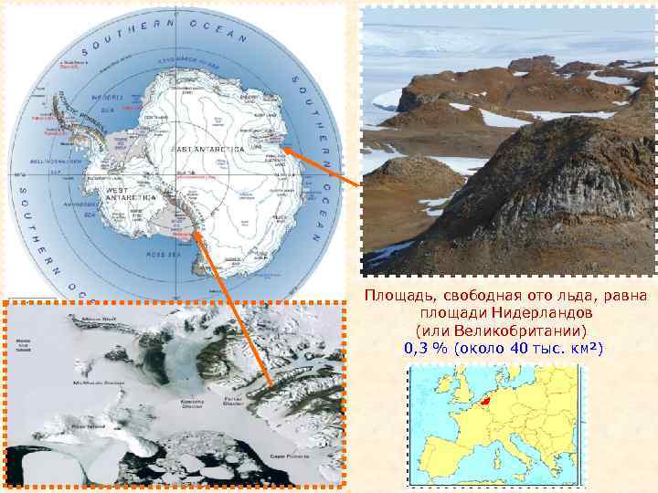 Площадь, свободная ото льда, равна площади Нидерландов (или Великобритании) 0, 3 % (около 40