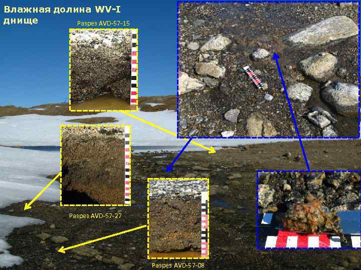 Влажная долина WV-I днище Разрез AVD-57 -15 Разрез AVD-57 -27 Разрез AVD-57 -08 