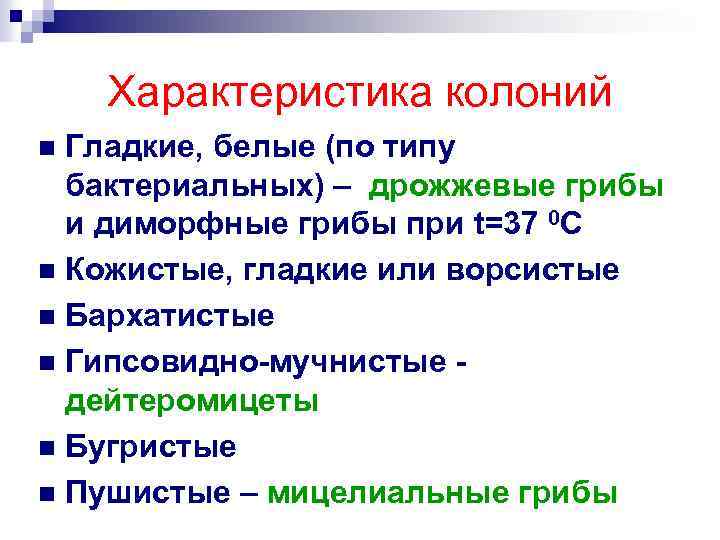 Характеристика колоний Гладкие, белые (по типу бактериальных) – дрожжевые грибы и диморфные грибы при