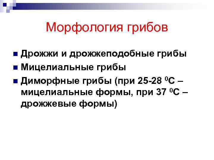 Морфология грибов Дрожжи и дрожжеподобные грибы n Мицелиальные грибы n Диморфные грибы (при 25