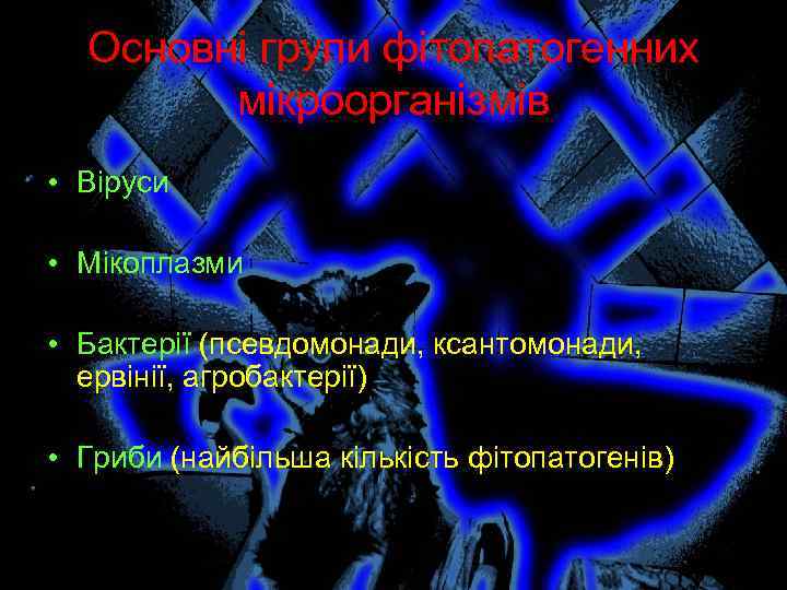 Основні групи фітопатогенних мікроорганізмів • Віруси • Мікоплазми • Бактерії (псевдомонади, ксантомонади, ервінії, агробактерії)