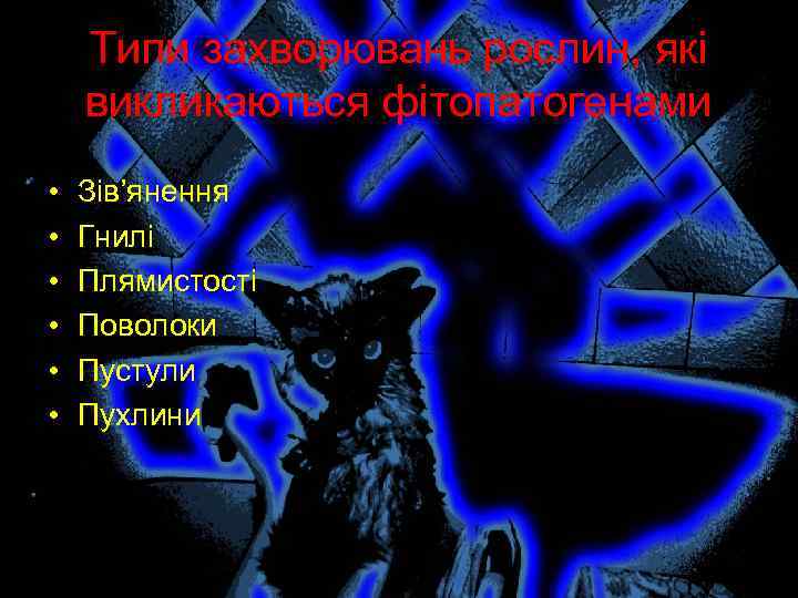 Типи захворювань рослин, які викликаються фітопатогенами • • • Зів’янення Гнилі Плямистості Поволоки Пустули