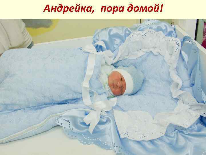 Андрейка, пора домой! 