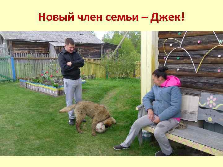 Новый член семьи – Джек! 