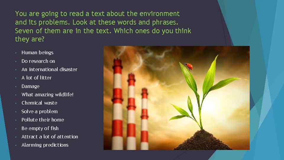 You are going to read a text about the environment and its problems. Look