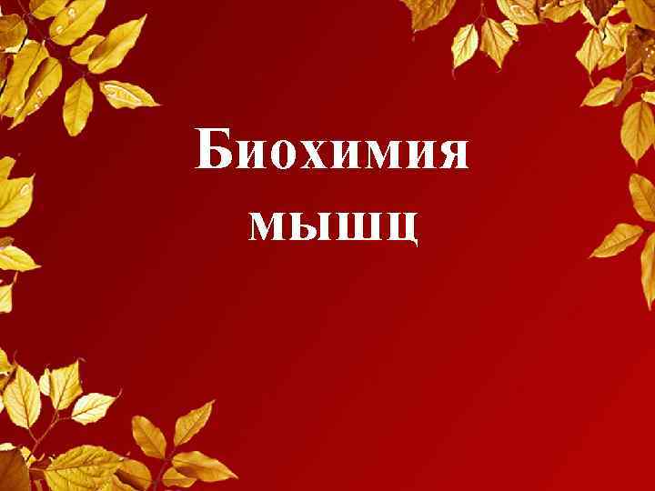 Биохимия мышц 