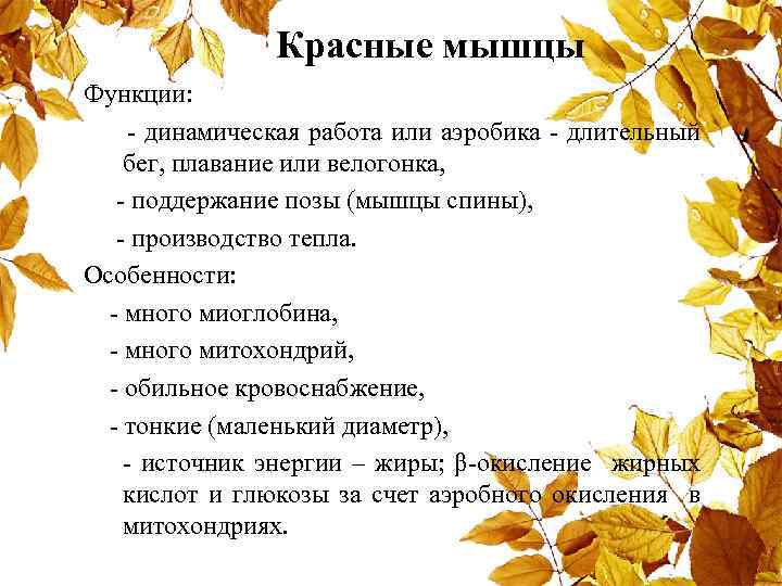 Красные мышцы Функции: - динамическая работа или аэробика - длительный бег, плавание или велогонка,