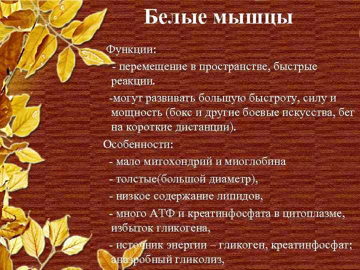 Белые мышцы Функции: - перемещение в пространстве, быстрые реакции. -могут развивать большую быстроту, силу