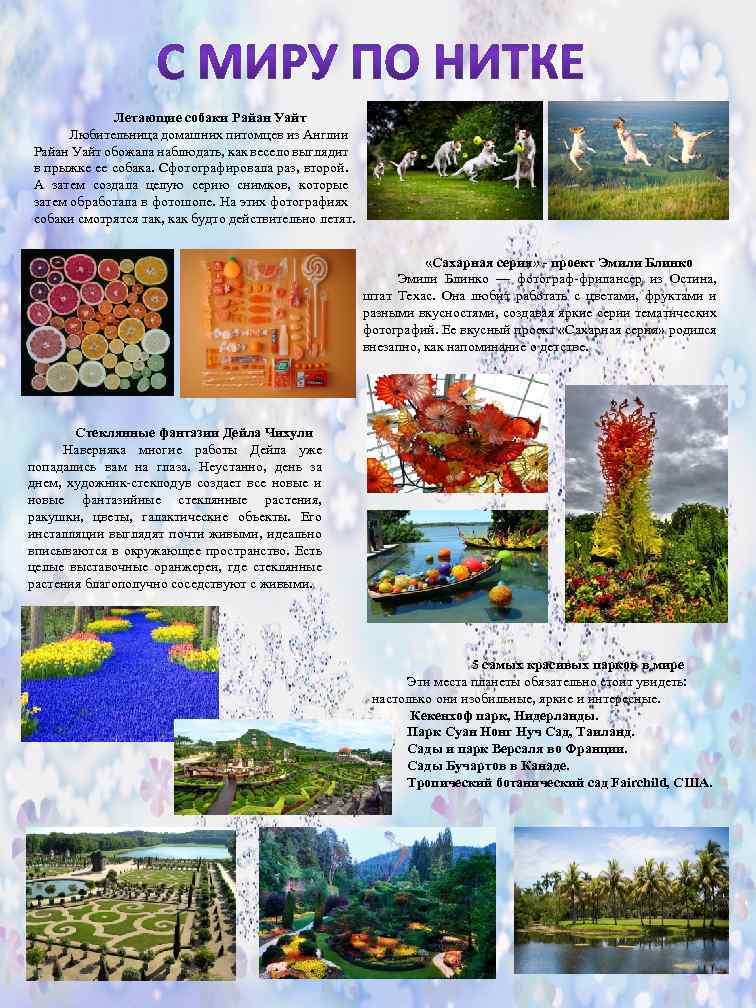 Летающие собаки Райан Уайт Любительница домашних питомцев из Англии Райан Уайт обожала наблюдать, как