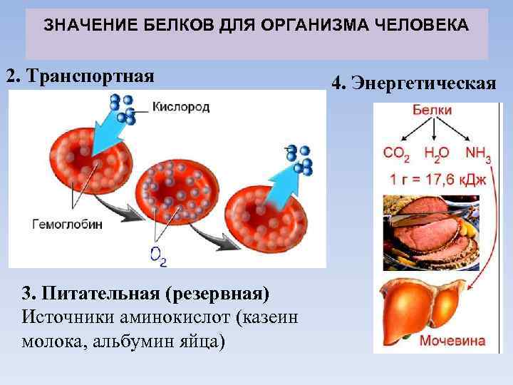 Накопление в организме