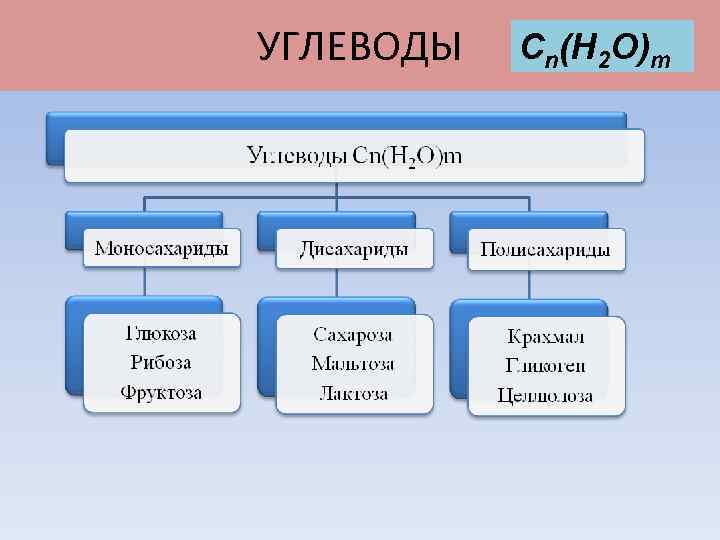 УГЛЕВОДЫ Cn(H 2 O)m 