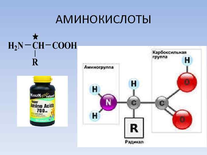 АМИНОКИСЛОТЫ 