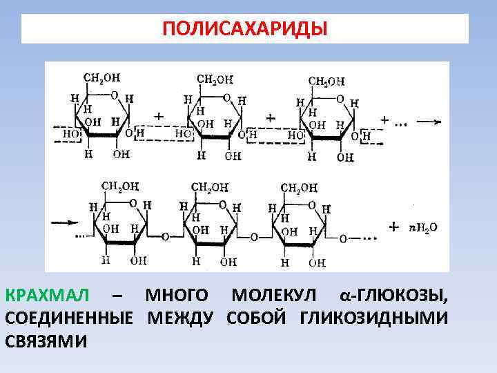 Крахмал органическое вещество