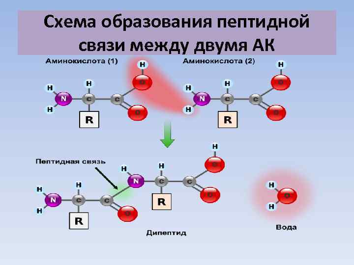 Образование связей