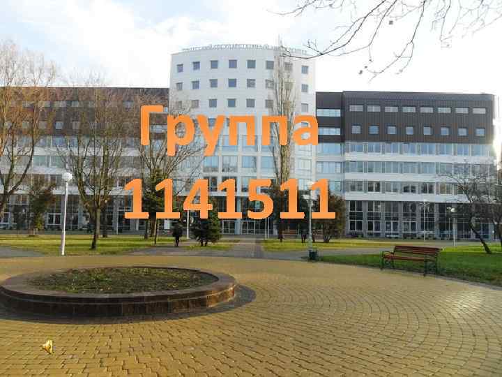 Группа 1141511 