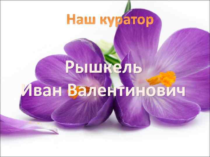 Наш куратор Рышкель Иван Валентинович 