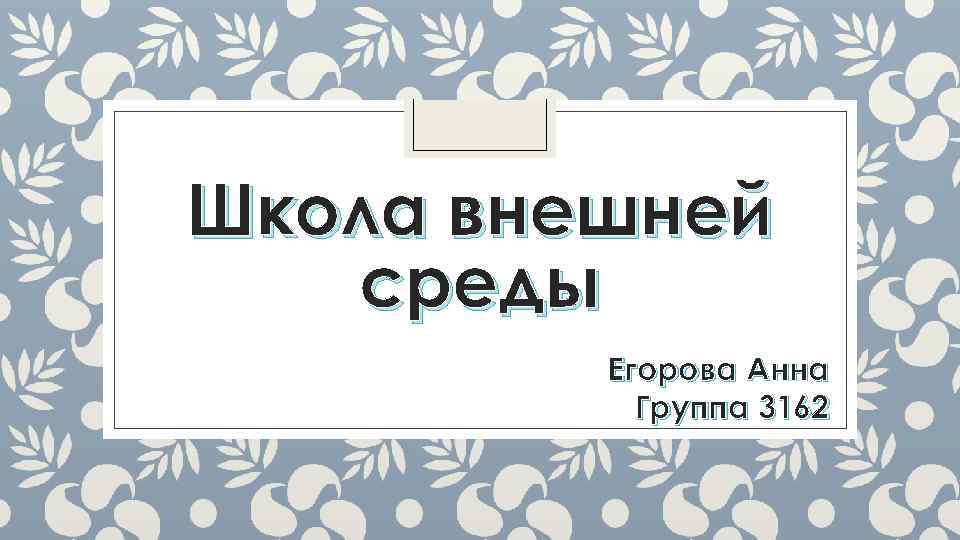 Школа внешней среды Егорова Анна Группа 3162 