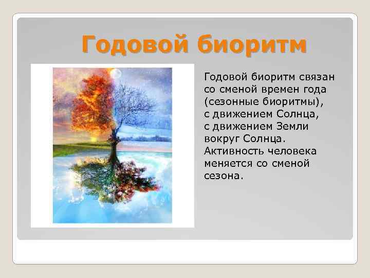 Годовой биоритм связан со сменой времен года (сезонные биоритмы), с движением Солнца, с движением