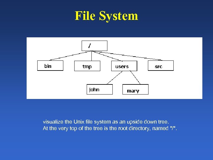 File System visualize the Unix file system as an upside down tree. At the