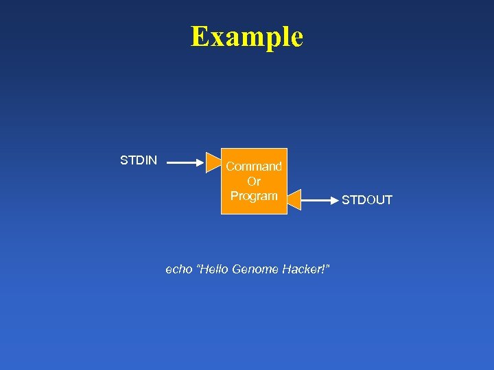 Example STDIN Command Or Program echo “Hello Genome Hacker!” STDOUT 